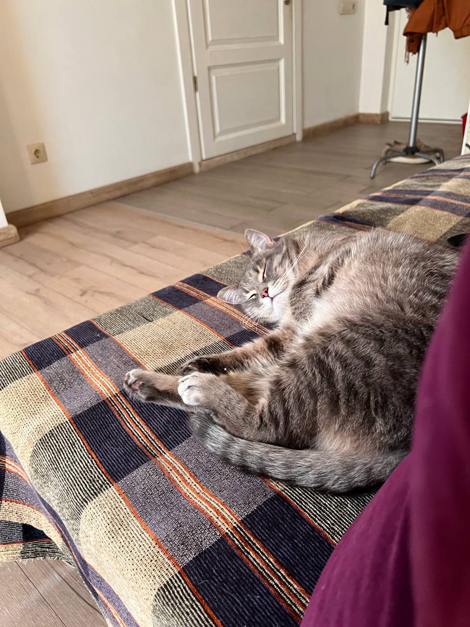 Космос спит на пледе